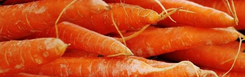 carrots