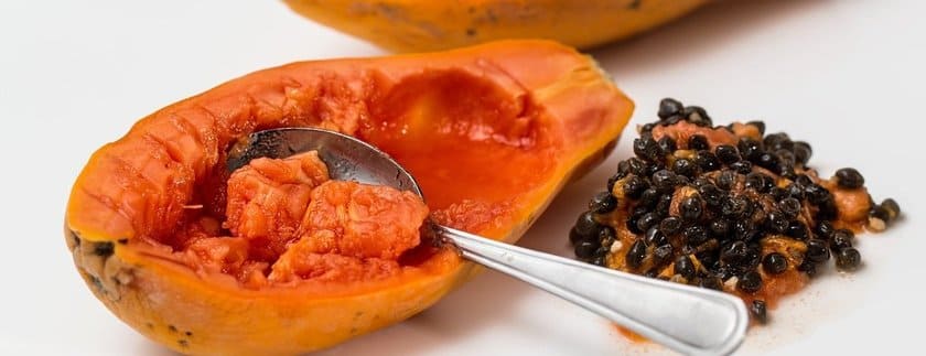 One healthy fruit for bearded dragons are papayas