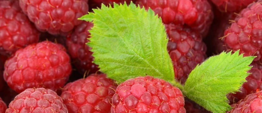 raspberries